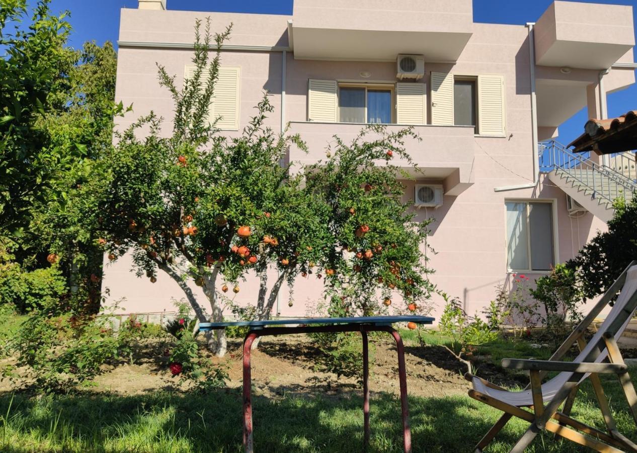 Olive B&B Berat Buitenkant foto