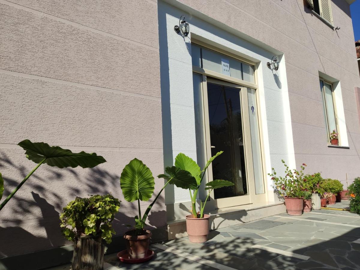 Olive B&B Berat Buitenkant foto